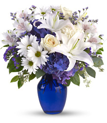 Beautifully Blue in Pittsburgh from Parkway Florist in Pittsburgh PA Beautifully Blue in Pittsburgh from Parkway Florist in Pittsburgh PA